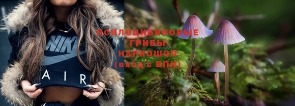 альфа пвп Елизово