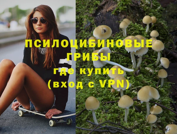 ПСИЛОЦИБИНОВЫЕ ГРИБЫ Елабуга