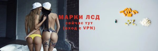 ПСИЛОЦИБИНОВЫЕ ГРИБЫ Елабуга