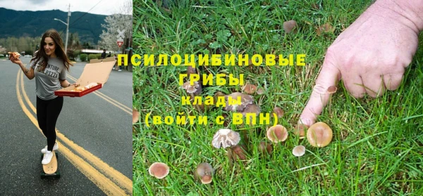 MDMA Ельня