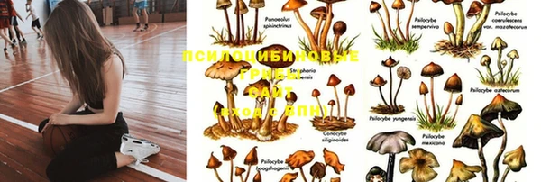 альфа пвп Елизово