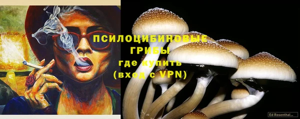 кокс Костерёво
