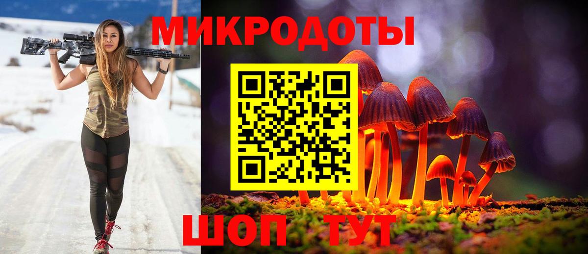 Галлюциногенные грибы прущие грибы Соль-Илецк